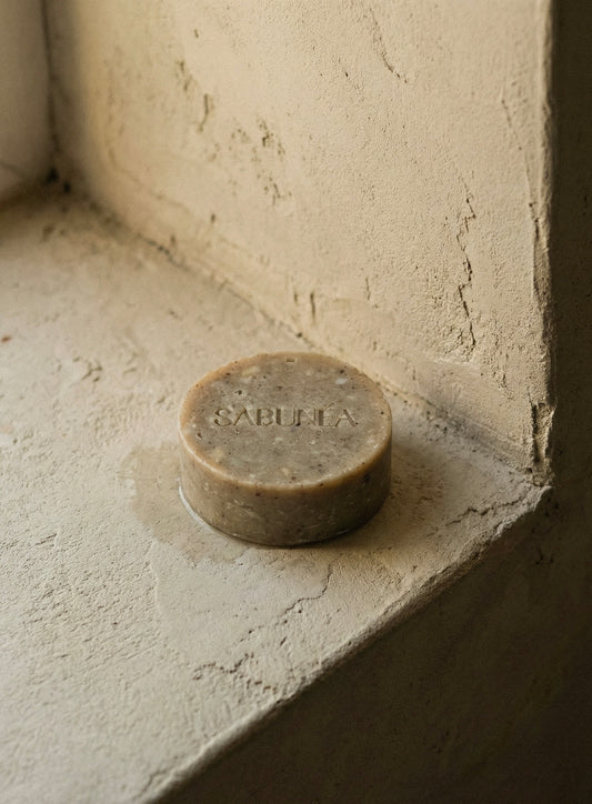 Pistazia